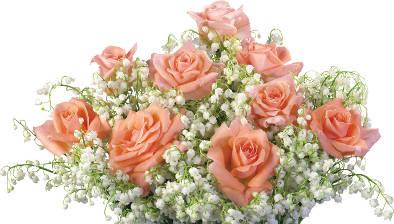 flowers-pinkroses